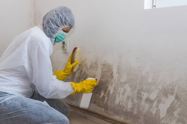 Best Post-Flood Mold Remediation in Tumter, WA