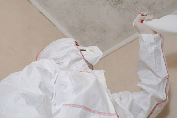 Best DIY Mold Remediation Support Services in Tumter, WA